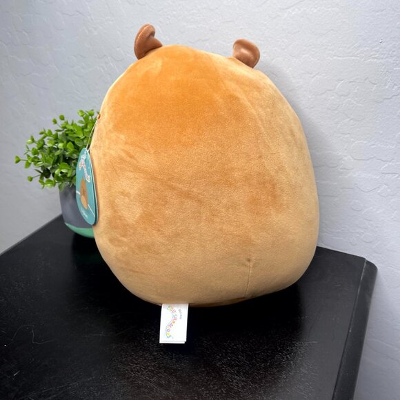 *SOLD* Squishmallow 12" "LIJJIAN" Capybara NWT - Picture 4 of 6